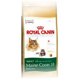 Royal Canin Maine Coon 31 \ Роял Канин 31 сух.д/кошек крупных пород